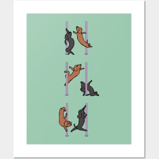 Dachshund Pole Dancing Club Posters and Art